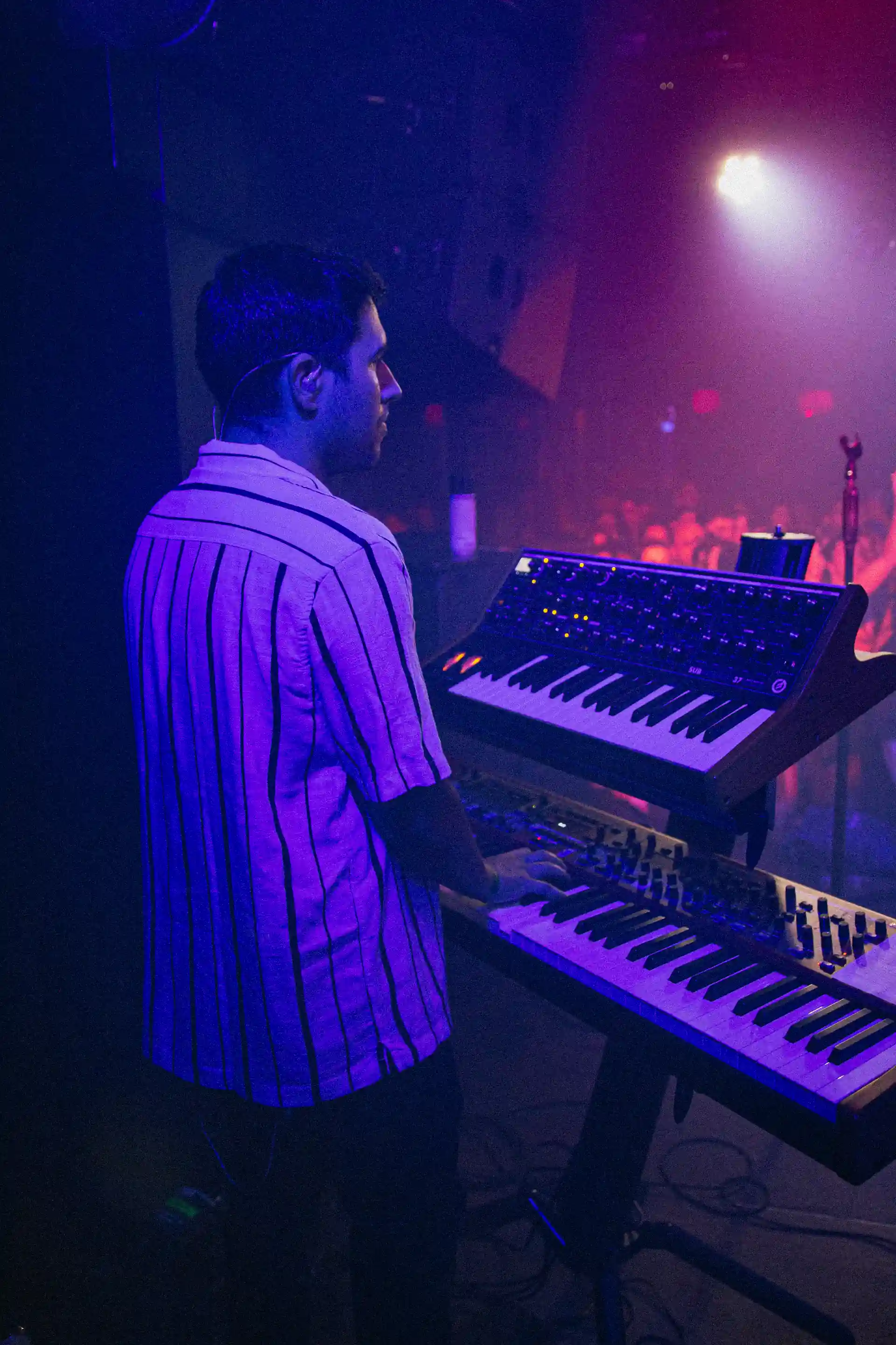 Imatge de l'artista d'esquena en un concert