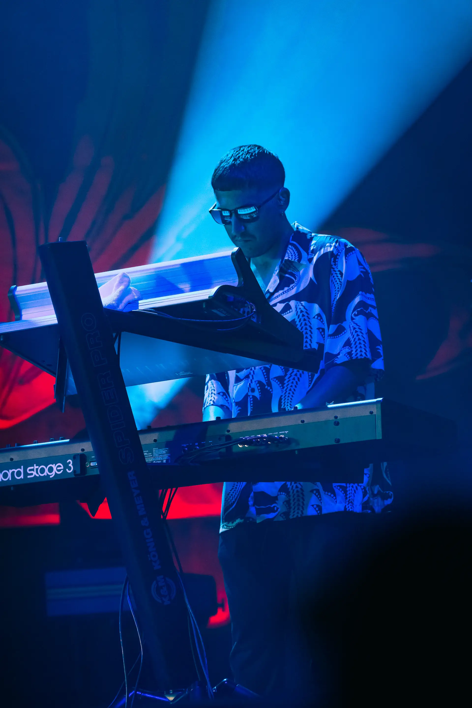 Imatge de l'artista tocant en un concert