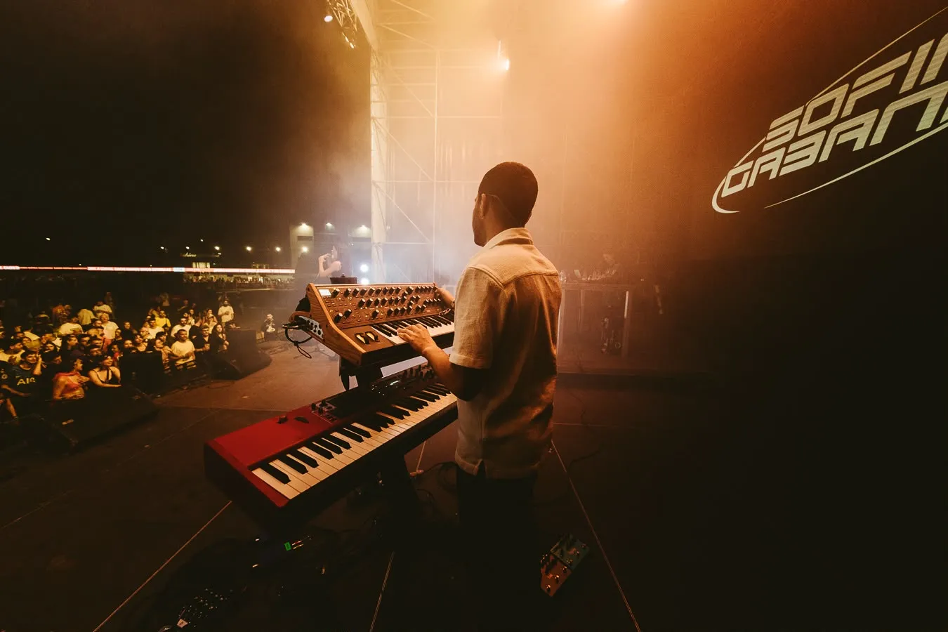 Imatge de l'artista tocant en un concert